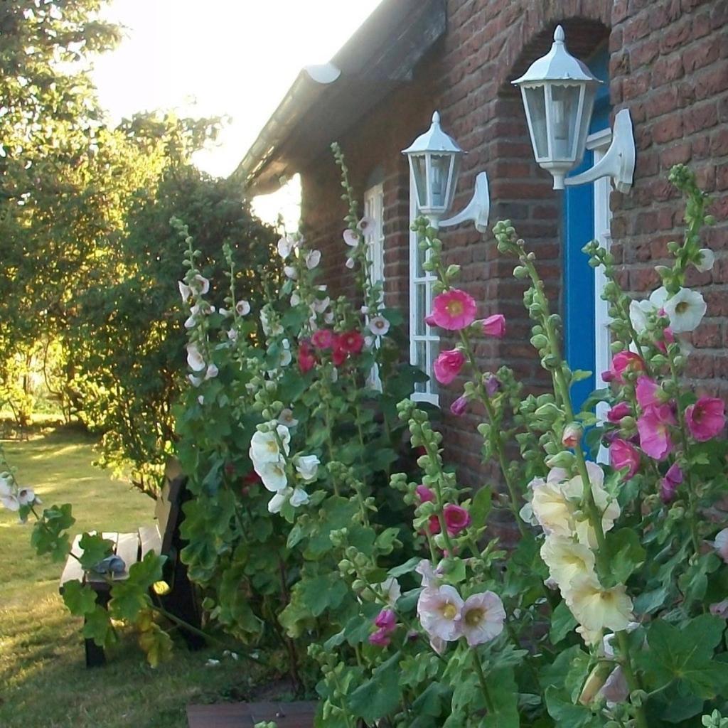 Apartamento Haus-Wolfram-App-Wilhelmine Morsum  Exterior foto
